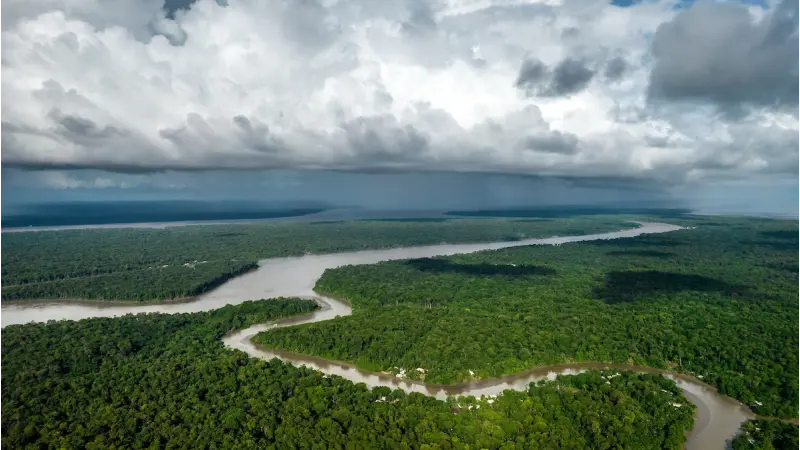 Quase metade da Amazônia Legal é área protegida: dados revelam o tamanho do desafio da conservação
