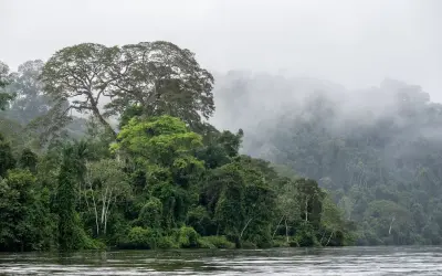 Quebra da circulação do Atlântico aumentaria risco de colapso da Amazônia, alerta estudo