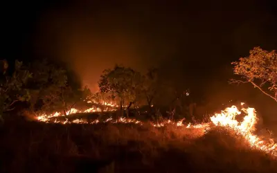 Queimadas explodem no Cerrado e na Amazônia em Março