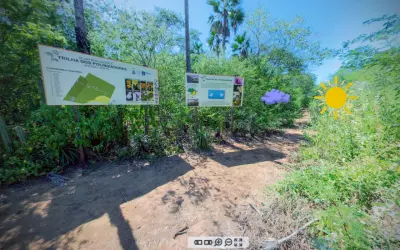 Realidade virtual faz pessoas andarem por trilha na Caatinga em 3D