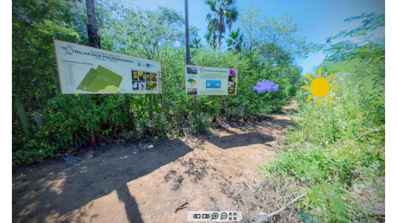 Realidade virtual faz pessoas andarem por trilha na Caatinga em 3D