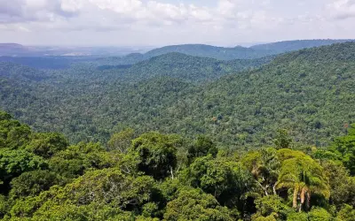 Recém-criada, cédula de Produto Rural Verde pode impulsionar compensação de CO2 e preservação no campo