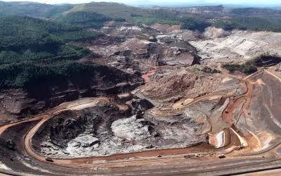 O Código da Sobrevivência: ciência revela como a natureza pode "vencer" a lama no Rio Doce