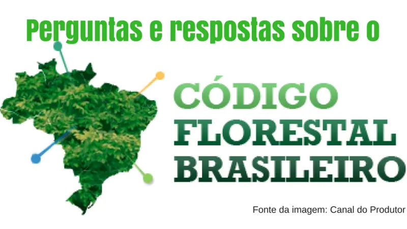 Refresque sua memória: Perguntas e respostas sobre o Código Florestal