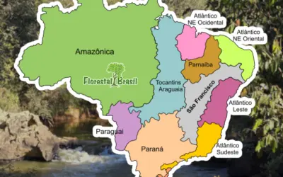 Regiões hidrográficas do Brasil