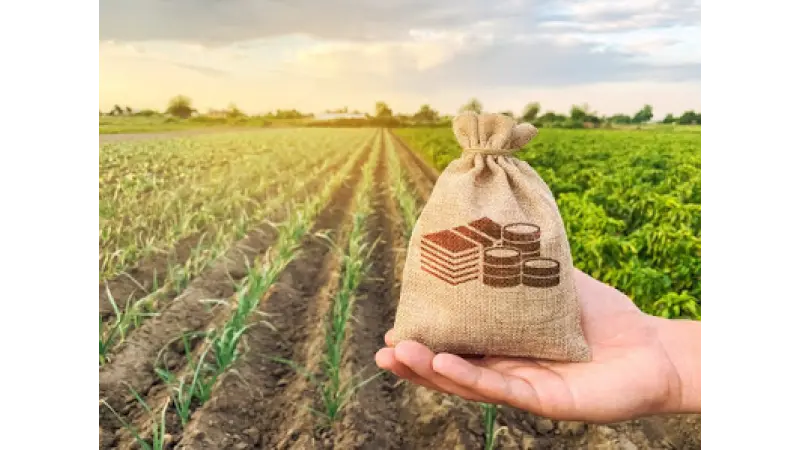 Regiões Norte e nordeste recebem R$ 50 milhões para seguro rural