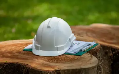 Regulamentação Ambiental a Passos Lentos no campo (Valor Econômico)