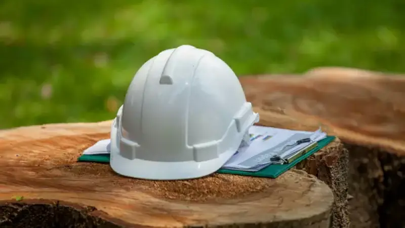 Regulamentação Ambiental a Passos Lentos no campo (Valor Econômico)