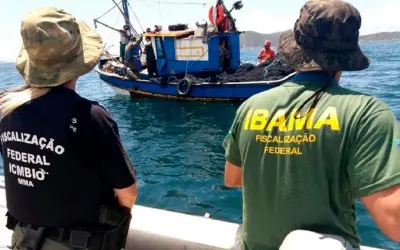 Relatório do MPF recomenda manter Ibama e ICMBio como órgãos independentes