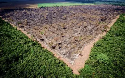 Relatório expõe agronegócio como responsável por desmatamento ilegal de dois terços das florestas tropicais do mundo