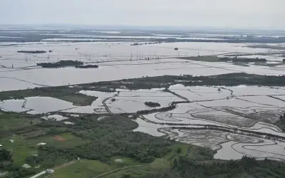 Restauração de ecossistemas é a salvação contra às mudanças climáticas