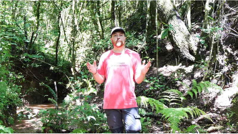 O Ciclo da Água e da Vida: Uma jornada real de restauração ecológica e o retorno das nascentes