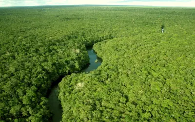 Restauração florestal gera oportunidades econômicas,mas requer pesquisa e investimentos