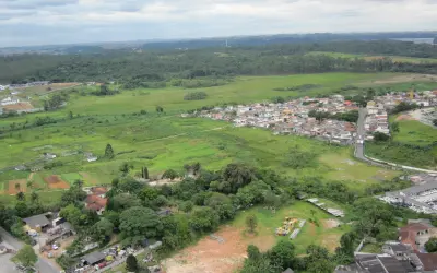 Estudo revela 410 mil hectares para restauração nas bordas urbanas de SP