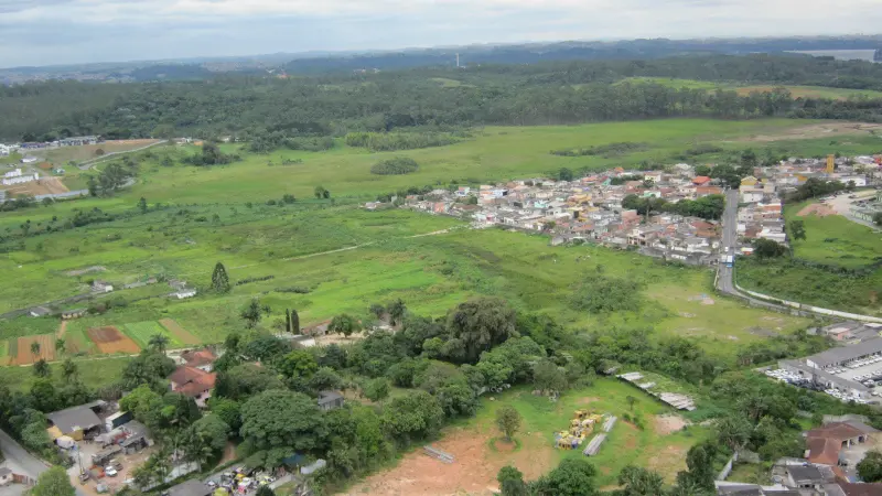 Estudo revela 410 mil hectares para restauração nas bordas urbanas de SP