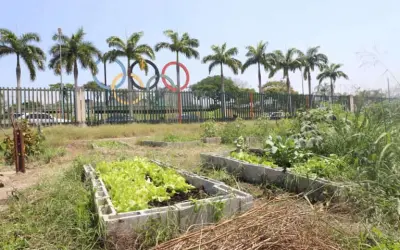 Rio de Janeiro prepara para criar a maior horta urbana do mundo