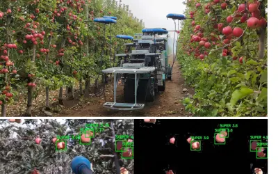 Robôs programados para colher frutas