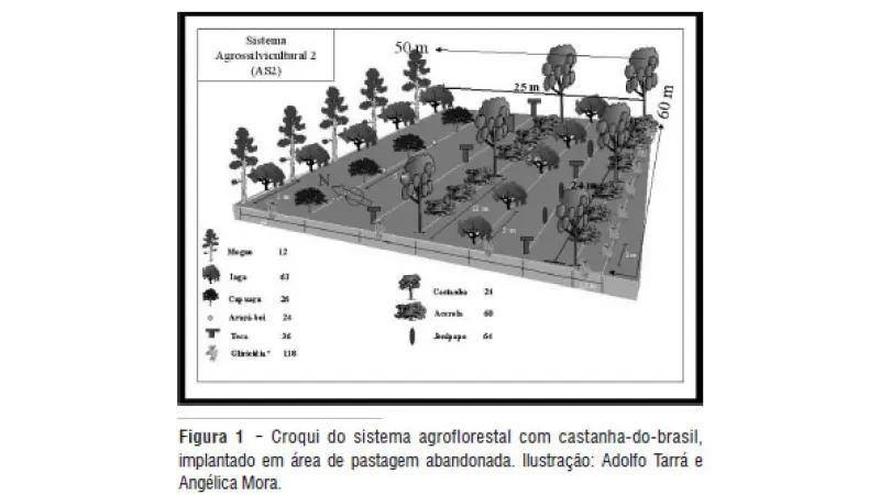 Saf's com o uso do sistema de corte e trituração como alternativa sustentável de produção.