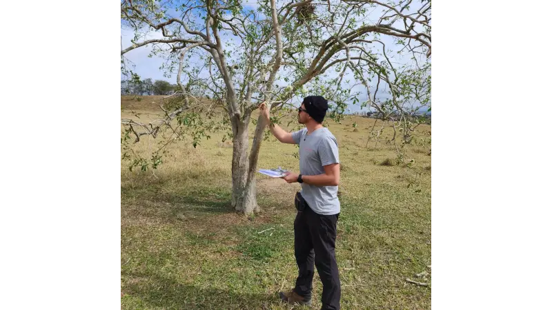 Saiba de forma simples como elaborar um inventário florestal