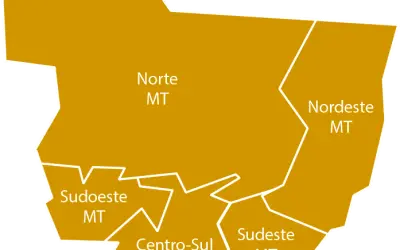 SC, RS, PA E MT Lideram mercado madeireiro em 2023.