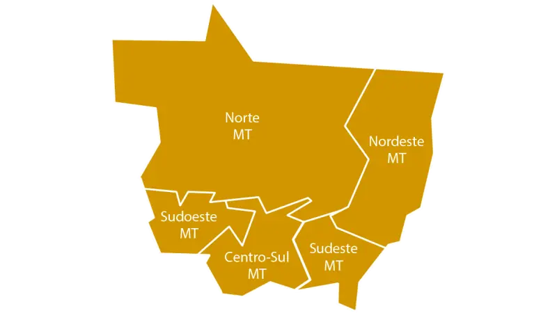 SC, RS, PA E MT Lideram mercado madeireiro em 2023.