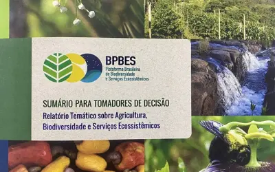 Se Novo Código Florestal fosse cumprido, Brasil teria 32 milhões de hectares de vegetação nativa a mais até 2050