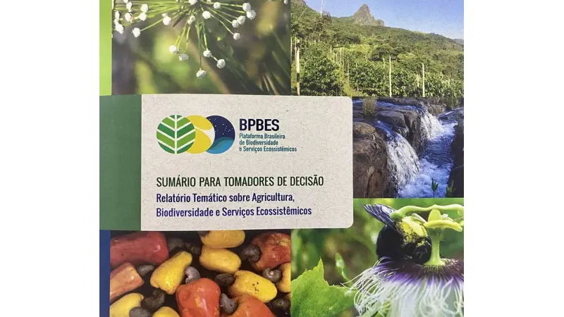 Se Novo Código Florestal fosse cumprido, Brasil teria 32 milhões de hectares de vegetação nativa a mais até 2050