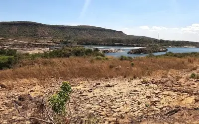 Seca no Cerrado brasileiro é a pior em 70 anos