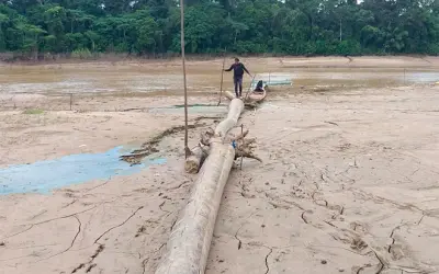 Seca que afetou a Amazônia em 2023 está relacionada a mudanças climáticas