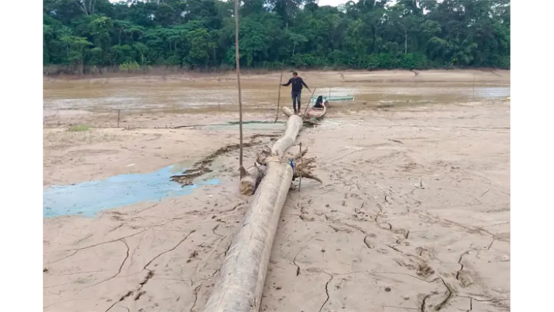 Seca que afetou a Amazônia em 2023 está relacionada a mudanças climáticas