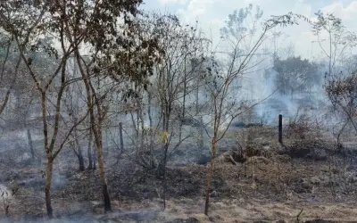O futuro chegou mais cedo: Inpe revela que secas severas projetadas para a Amazônia já são realidade