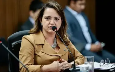 Secretária de Meio Ambiente Defende Veto ao PLC que Pode Aumentar Desmatamento em Áreas Protegidas em Mato Grosso