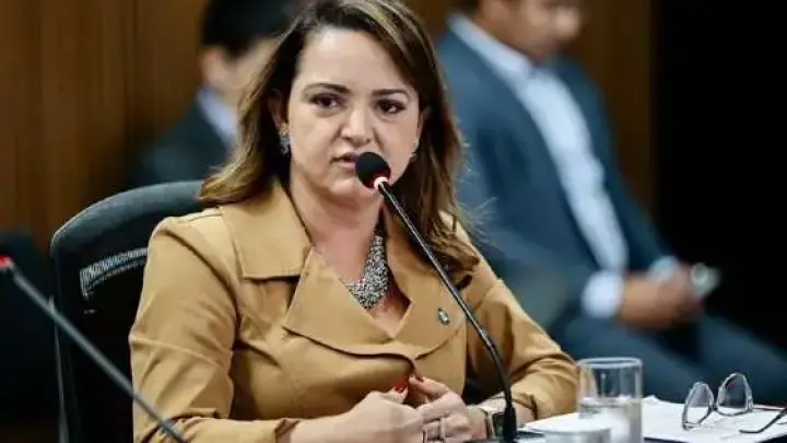 Secretária de Meio Ambiente Defende Veto ao PLC que Pode Aumentar Desmatamento em Áreas Protegidas em Mato Grosso