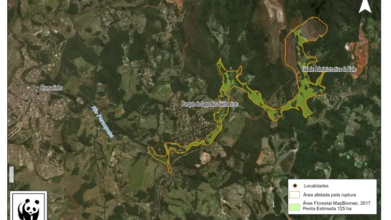 Segundo WWF, a barragem de Brumadinho causou a perda de de 125 hectares de florestas