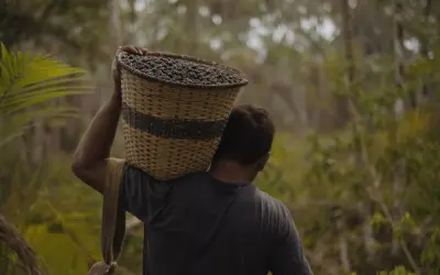 Sem os povos da floresta, sem futuro: não existe bioeconomia sem justiça social