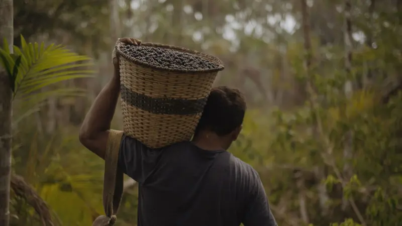 Sem os povos da floresta, sem futuro: não existe bioeconomia sem justiça social
