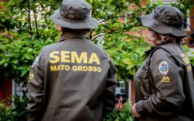 Sema é contra o projeto que libera a caça de animais em MT