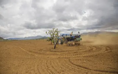 Semeadura direta e "topsoil": boas técnicas para a restauração do Cerrado