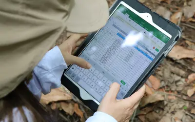 NOVIDADE: Serviço Florestal Brasileiro coletará tecido vegetal de plantas para iniciar biblioteca de DNA barcoding