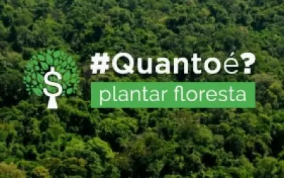 Serviço gratuito calcula investimento para recuperar floresta nas propriedades