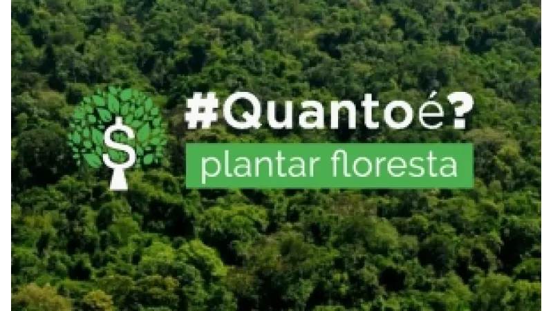 Serviço gratuito calcula investimento para recuperar floresta nas propriedades