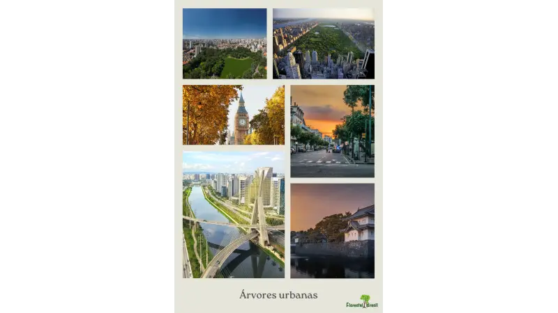 Serviços Ecossistêmicos e Valorização da Regulação das árvores urbanas