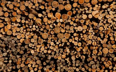 Setor de celulose planeja investir R$ 53 bilhões no Brasil até 2020