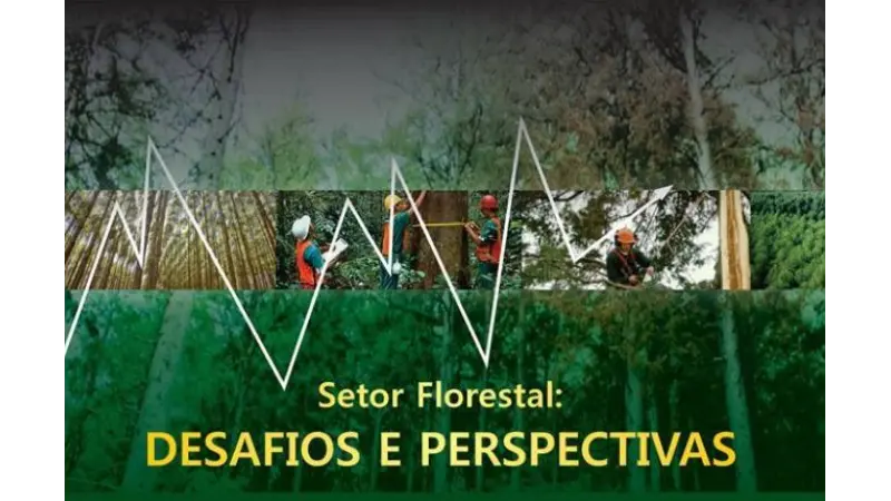 Setor florestal continuará na contramão da economia brasileira: crescerá este ano