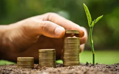 Setor florestal prevê investir R$ 61,9 bilhões até 2028, diz Ibá