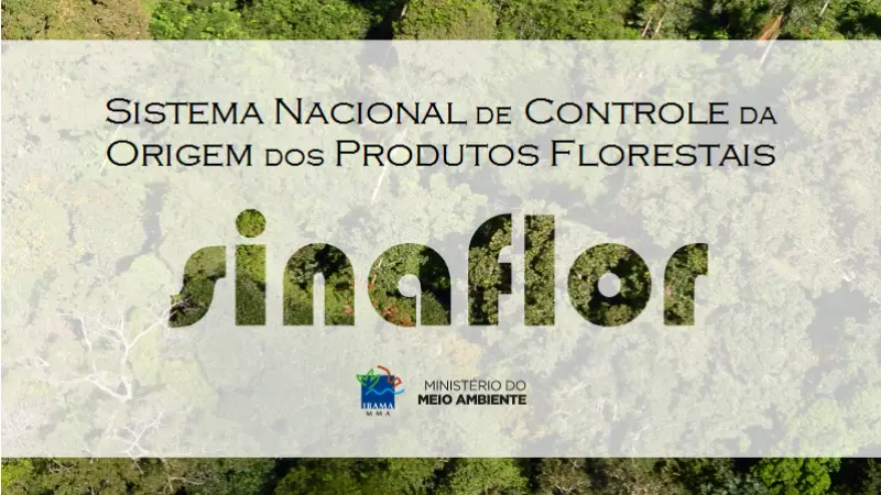 SINAFLOR emite primeiras autorizações e estados tem até o fim do ano para integrar seus sistemas