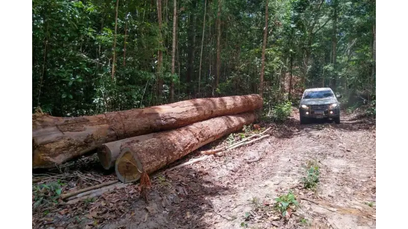 Sistema B Brasil alerta empresas para barrar colapso da Amazônia
