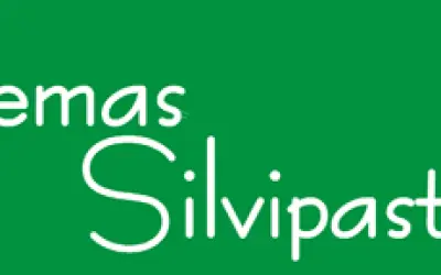 Sistemas Silvipastoris, Solução Viável ou Somente Teoria ?