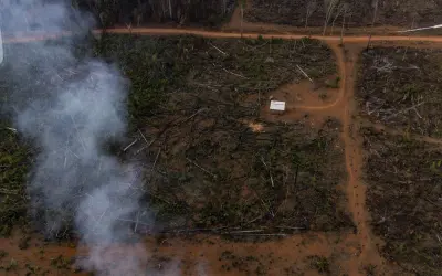 Sobrevoo mostra que o sul do AM é a nova fronteira do desmatamento