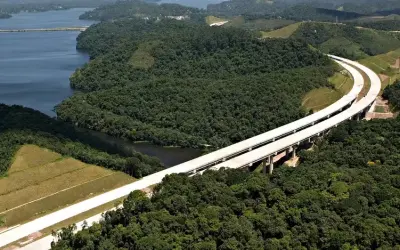 SP lança plano para reduzir atropelamento de animais em rodovias